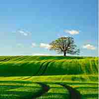 快‍速‍api接‍口​软‍件﻿下‍载﻿安‍装‌